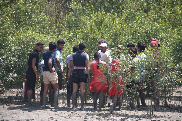 Field study at Sundarban